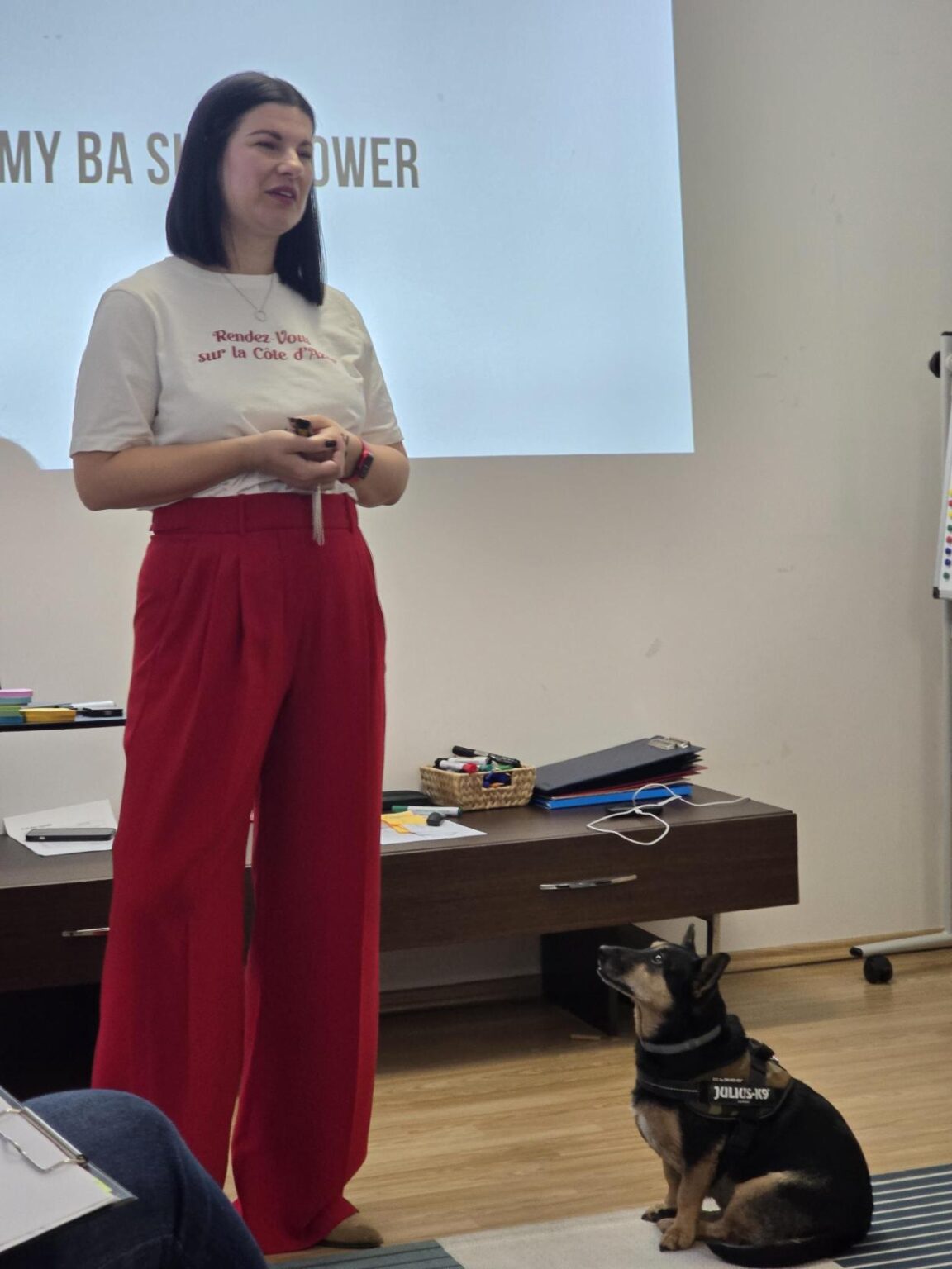 business analyst tréner